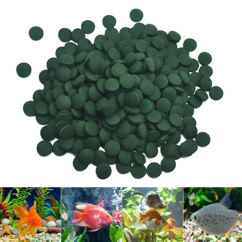 100-3000pc High Purity Spiruli - Spirulina Tablet Organic ulasan dan harga
