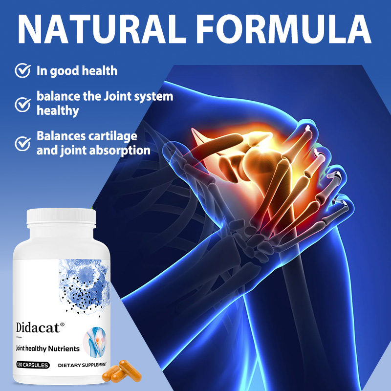 Glucosamine Chondroitin MSM wi - Glucosamine Chondroitin Joint ulasan dan harga