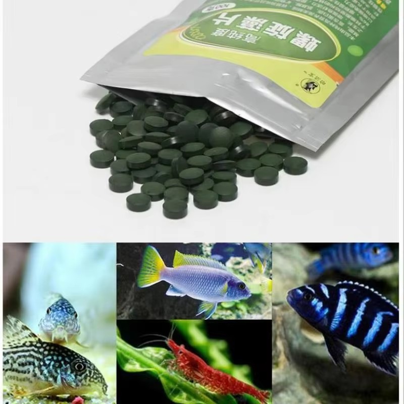 100/200/300/500pcs High Purity - Spirulina Tablet Organic ulasan dan harga