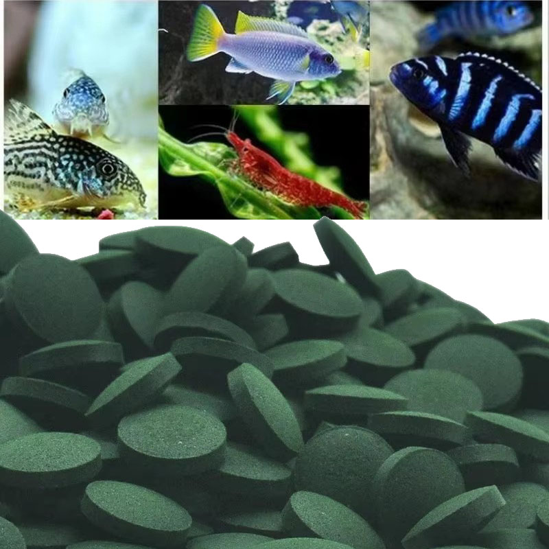 50/100/300/500pcs Spirulina Ta - Spirulina Tablet Organic ulasan dan harga